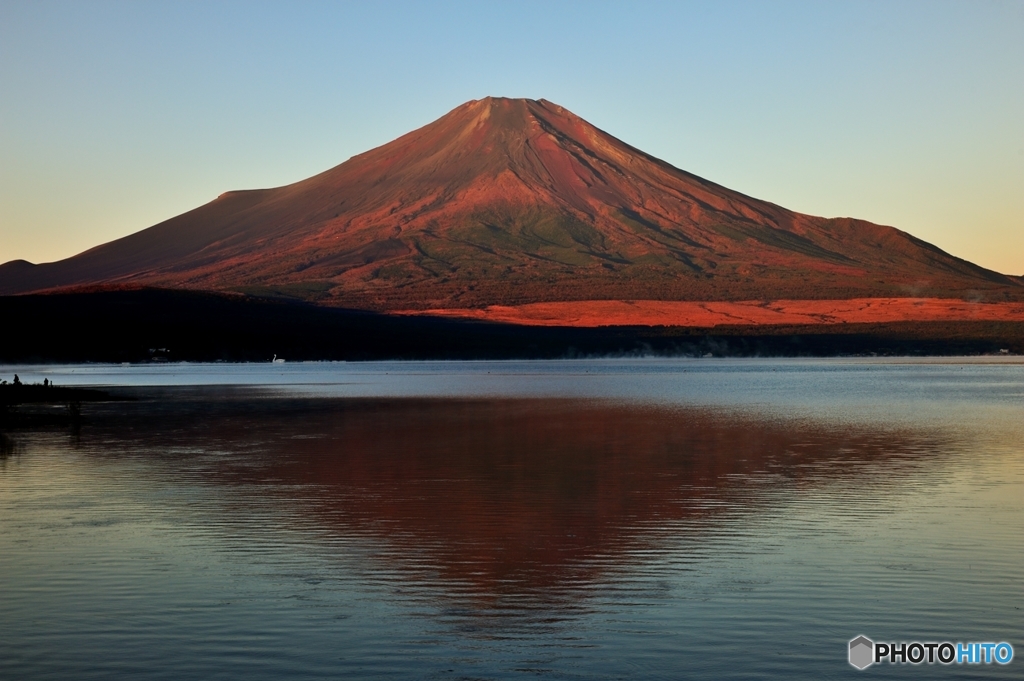 AutumnFUJI