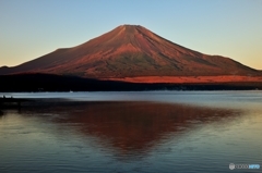 AutumnFUJI