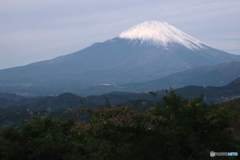 憂さ晴らし