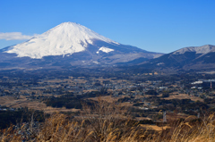 小山町の富士
