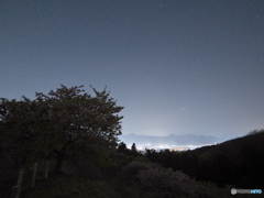 夜桜夜景