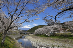 春のW富士