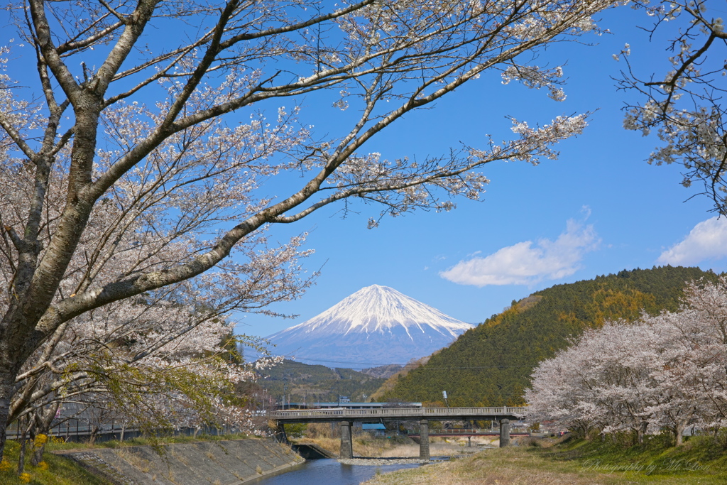 春の富士