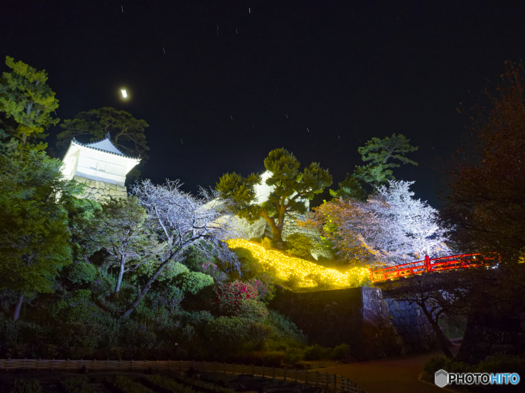 極楽浄土