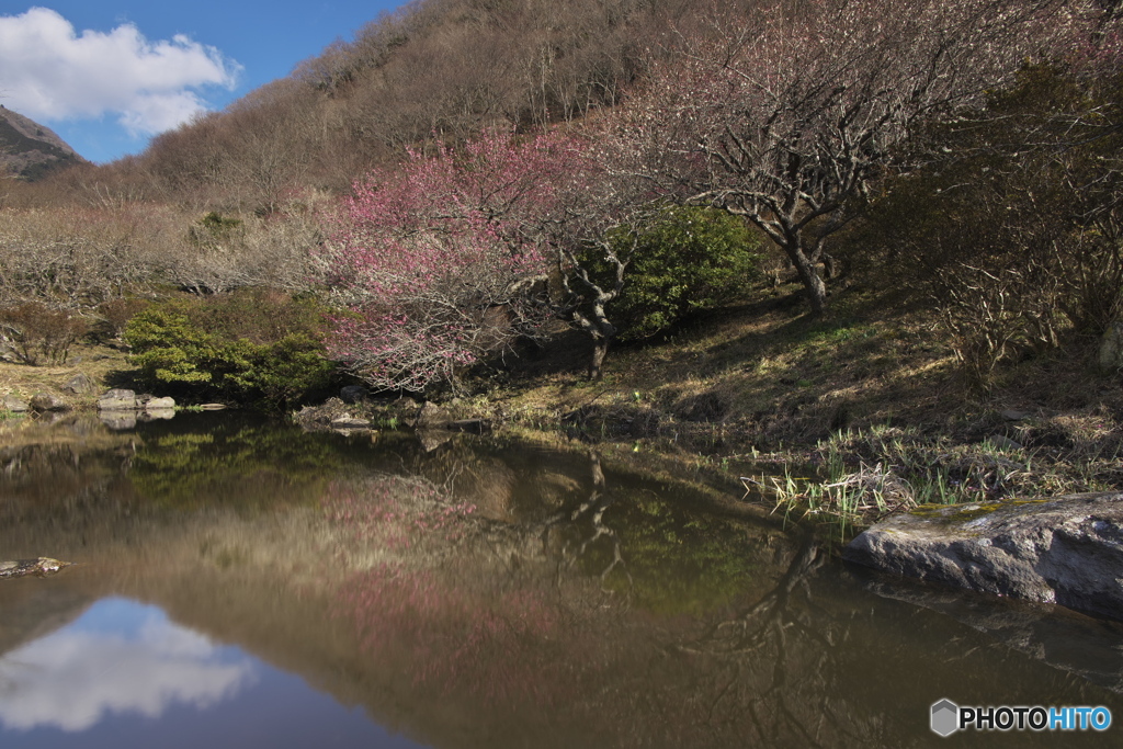 池の景色