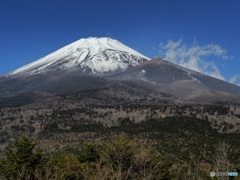 冬富士フルサイズ