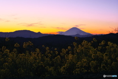 夕焼け