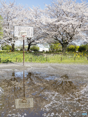 嵐の翌日