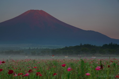 朝もやの中で