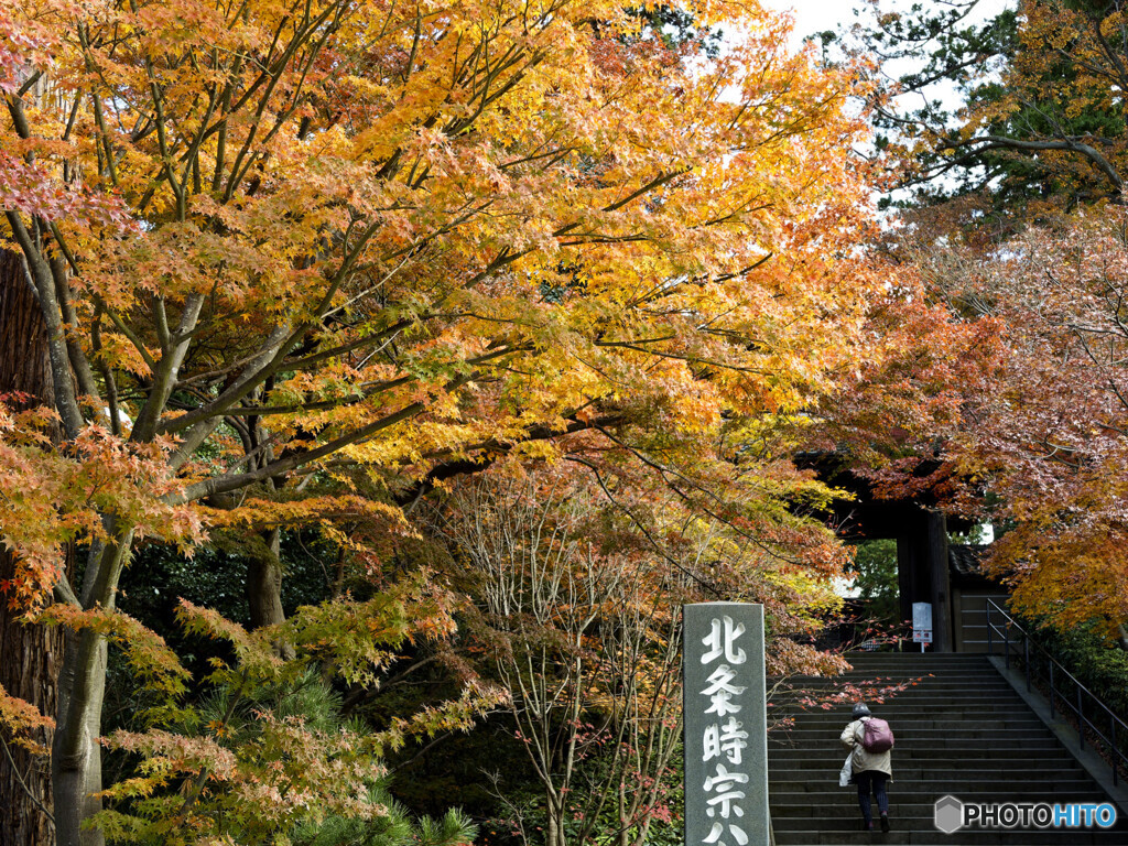 円覚寺