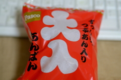 大人
