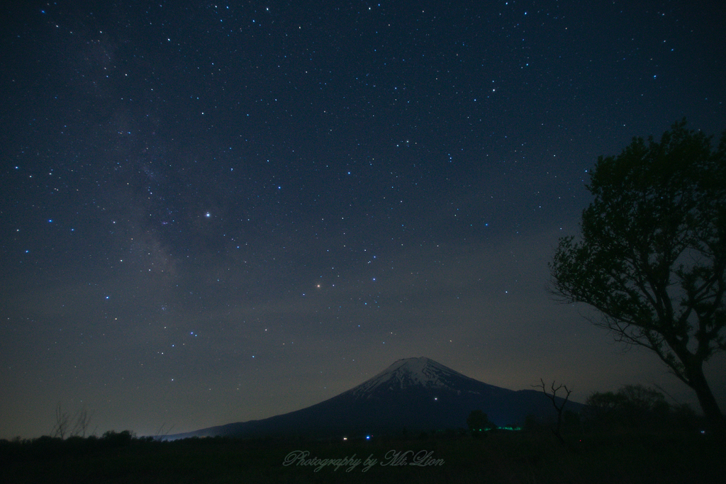 原野の星空