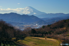 午後の富士（カラー）