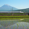 初夏の富士