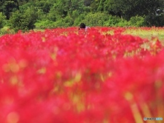 花園で一人撮る