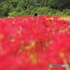 花園で一人撮る