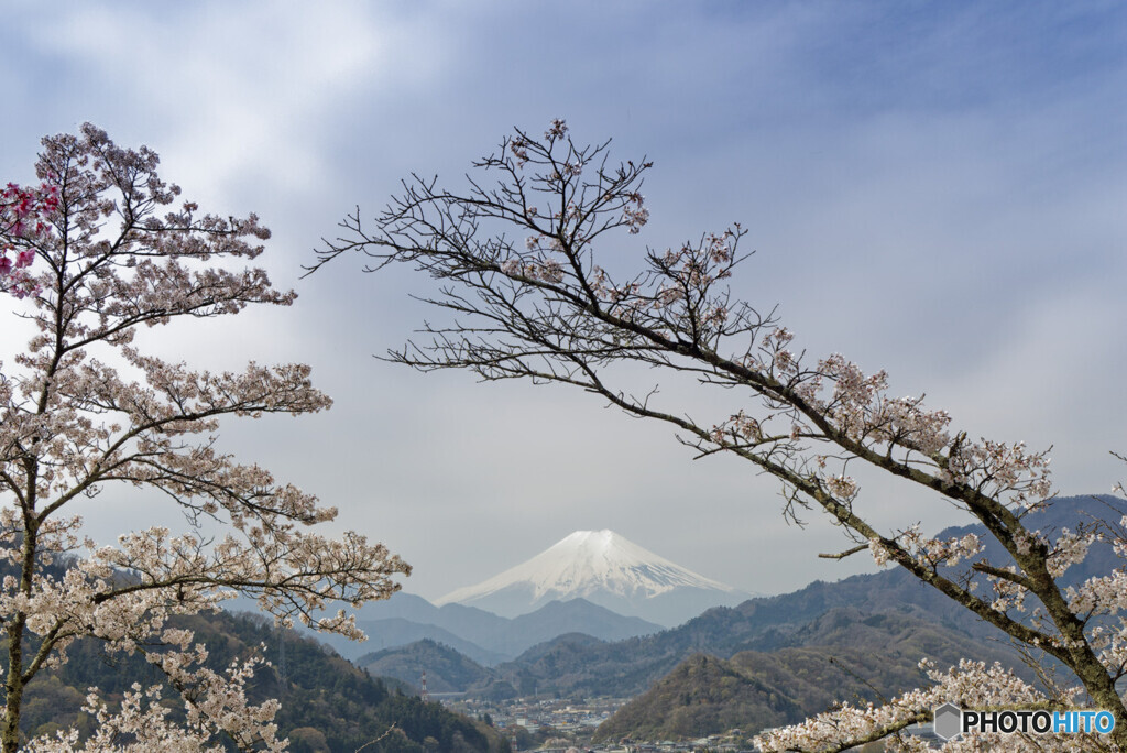 薄雲の富士