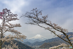 薄雲の富士