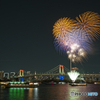 冬の華