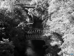 水道橋