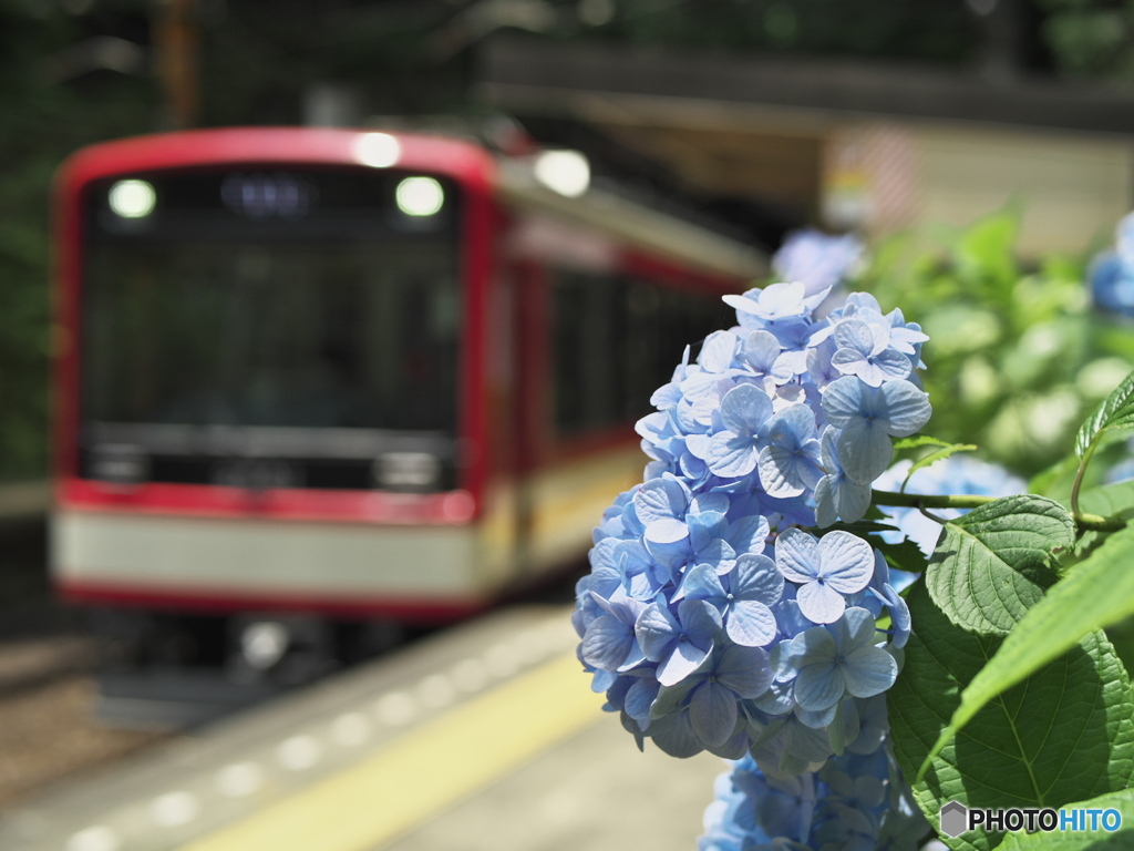 花鉄