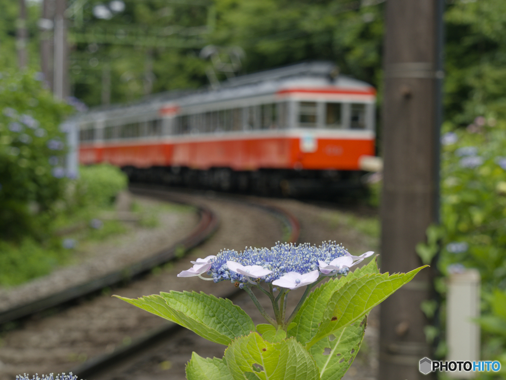 鉄道風景