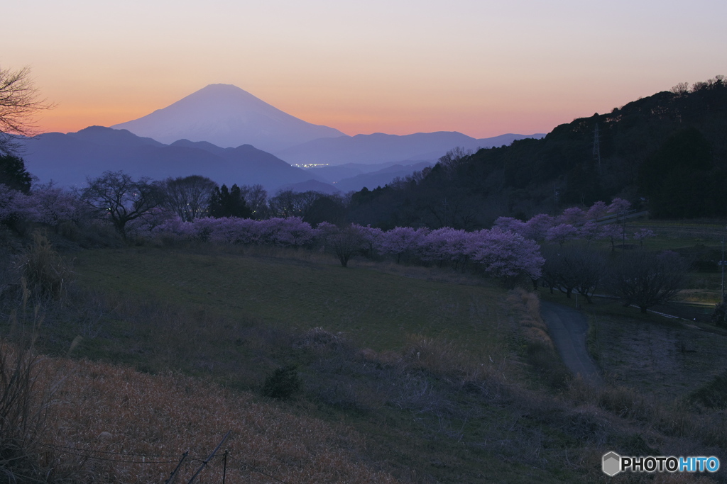 富士見台の夕景
