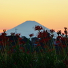 夕暮れ