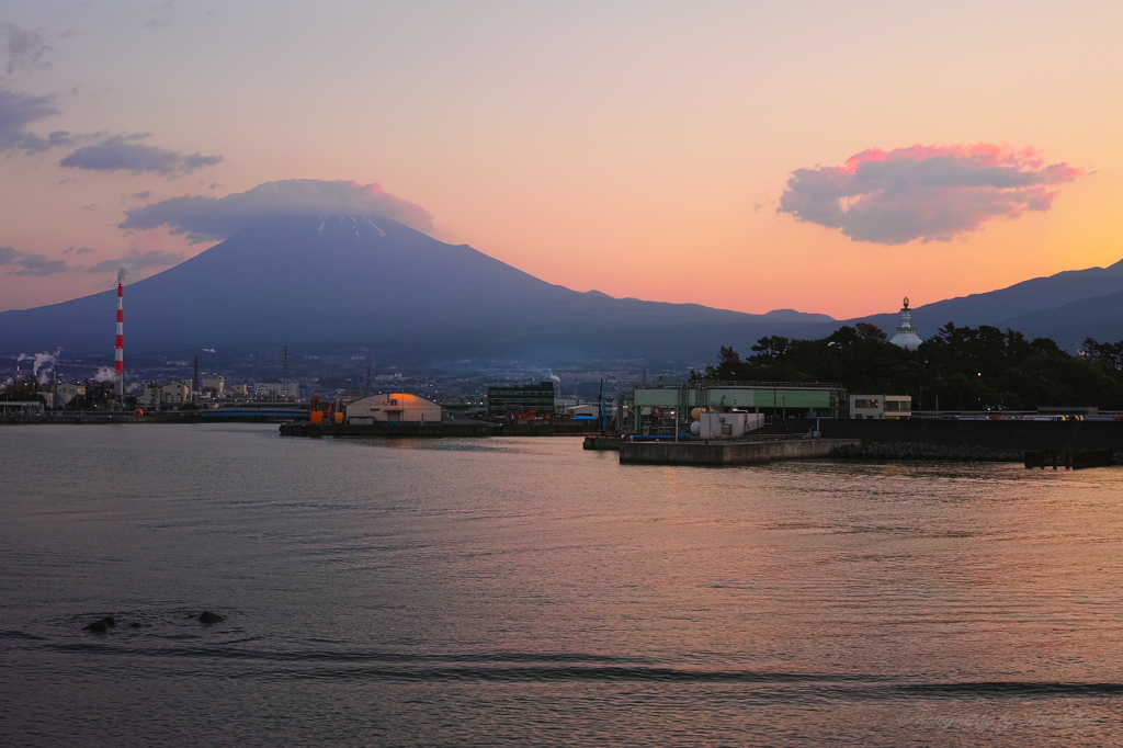 田子の朝