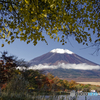 紅葉と冠雪富士