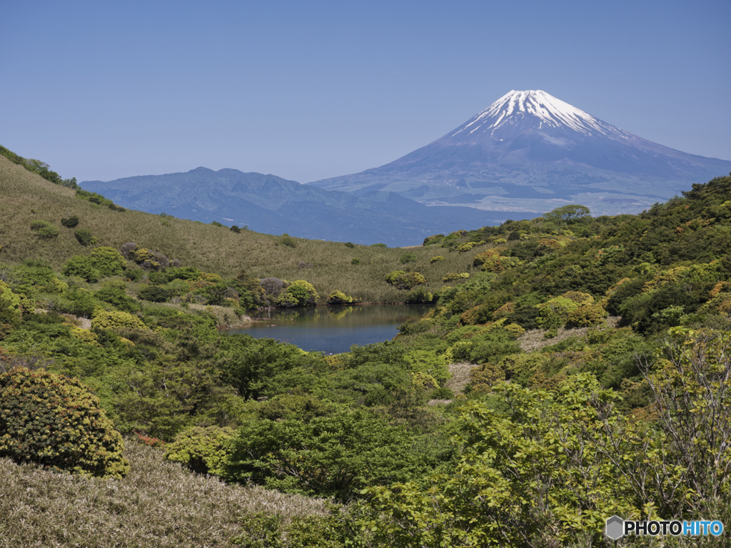 初夏の富士