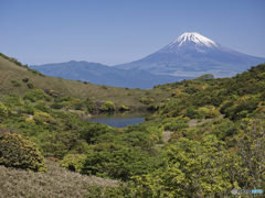 初夏の富士