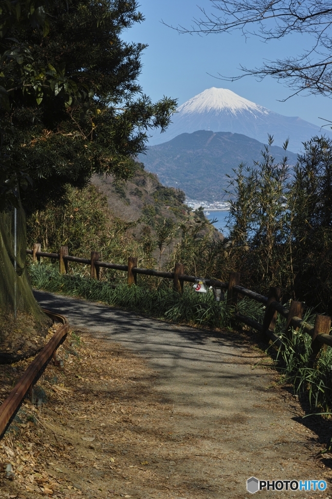 新訳･五十三次　由井の峠