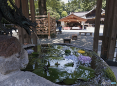 手水鉢