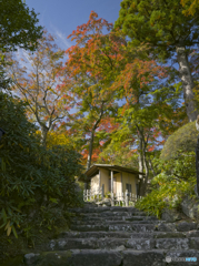 小さな秋 小東屋編