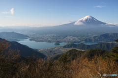 広大な裾野