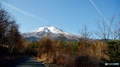 林道と富士