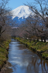 忍野の遅い春