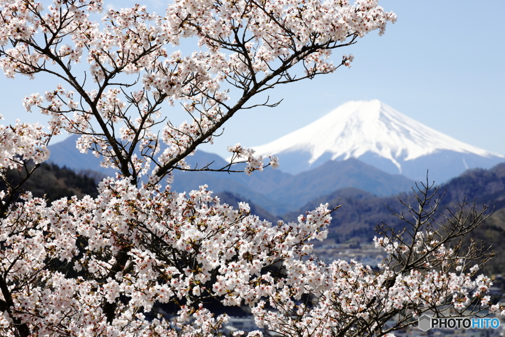 浮かれた春