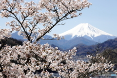 浮かれた春