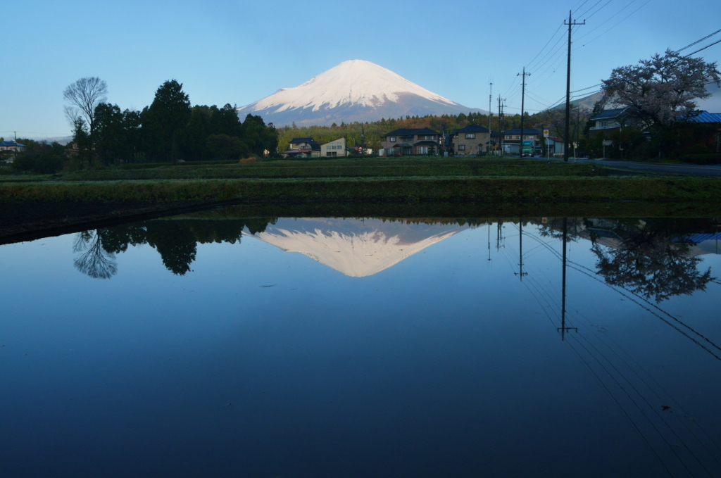 朝富士