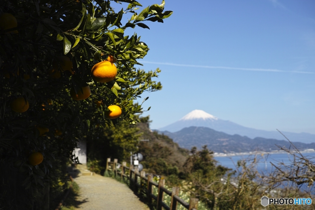 薩埵峠より