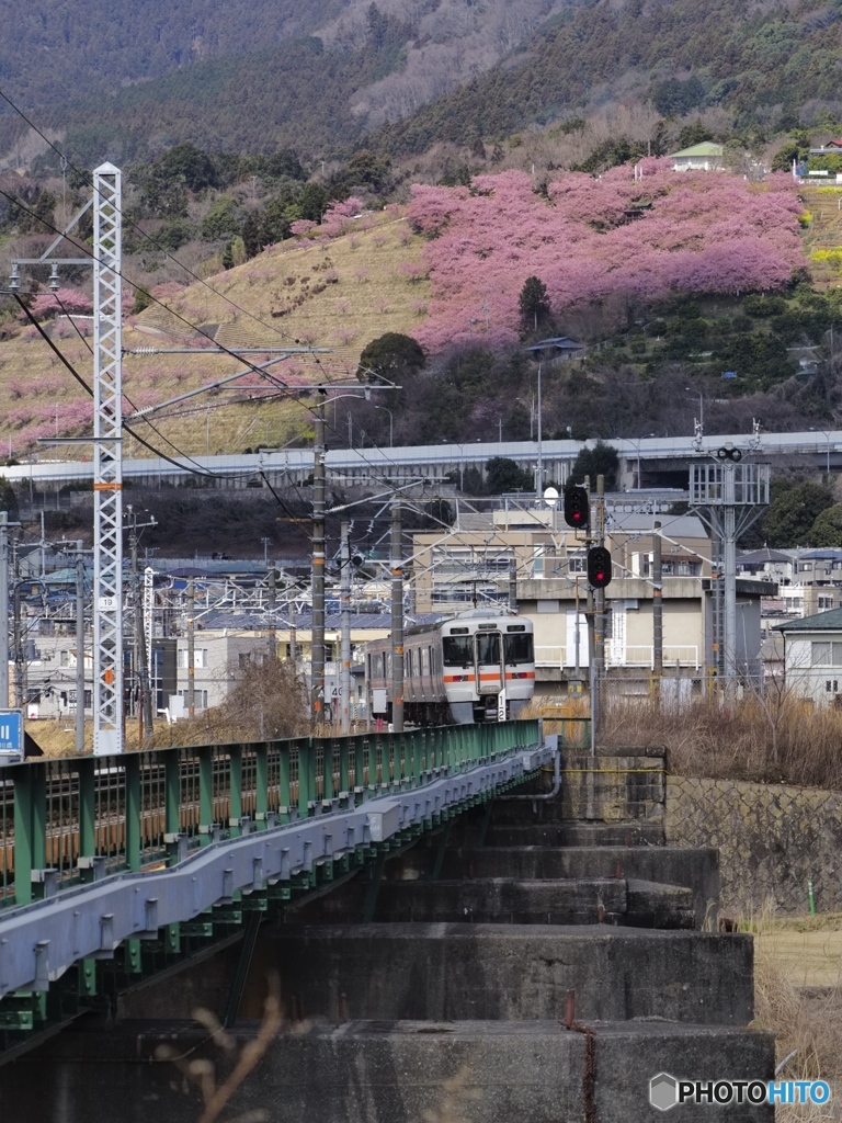 天然の部分フィルター