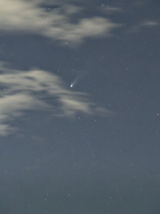 箒が短い彗星