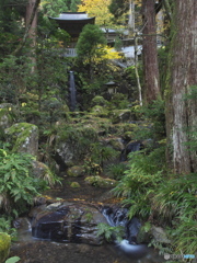 飛び道具