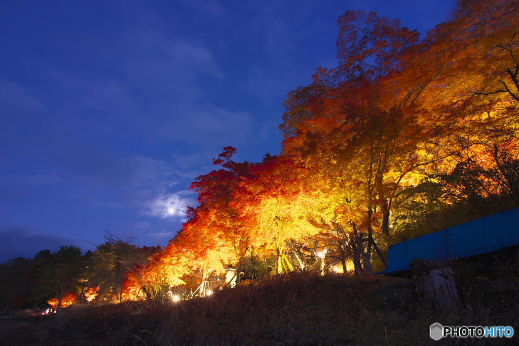 紅葉まつり