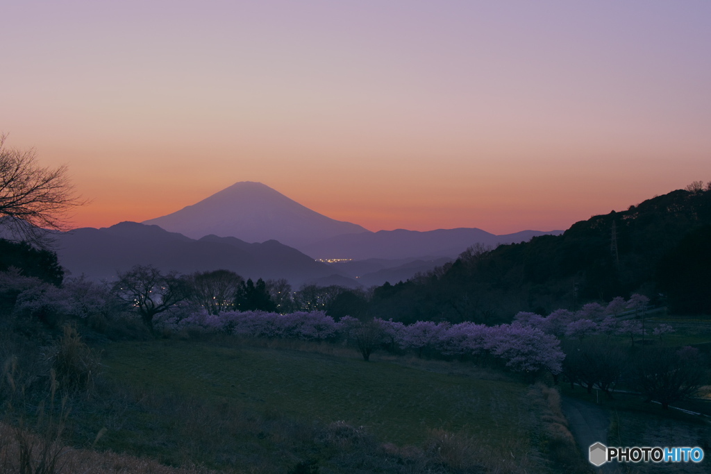 夕景