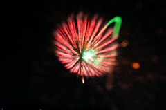 淀川２０１０