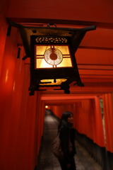 伏見の鳥居