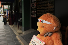 街のくまさん